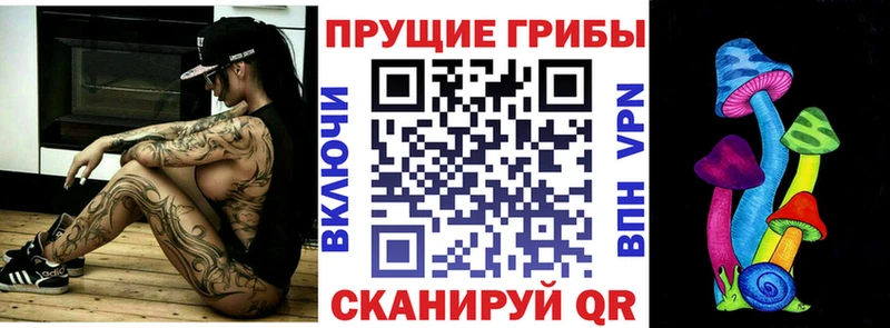 Псилоцибиновые грибы мицелий  как найти наркотики  Ивантеевка 