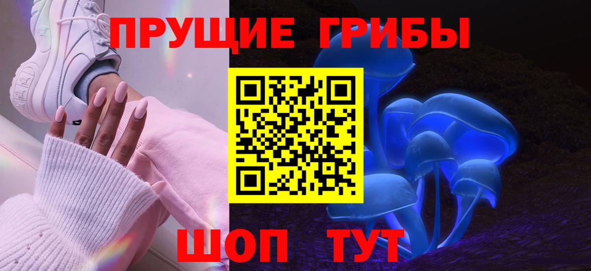 Псилоцибиновые грибы GOLDEN TEACHER  Вход с VPN  Ивантеевка  Галлюциногенные грибы Psilocybine cubensis 